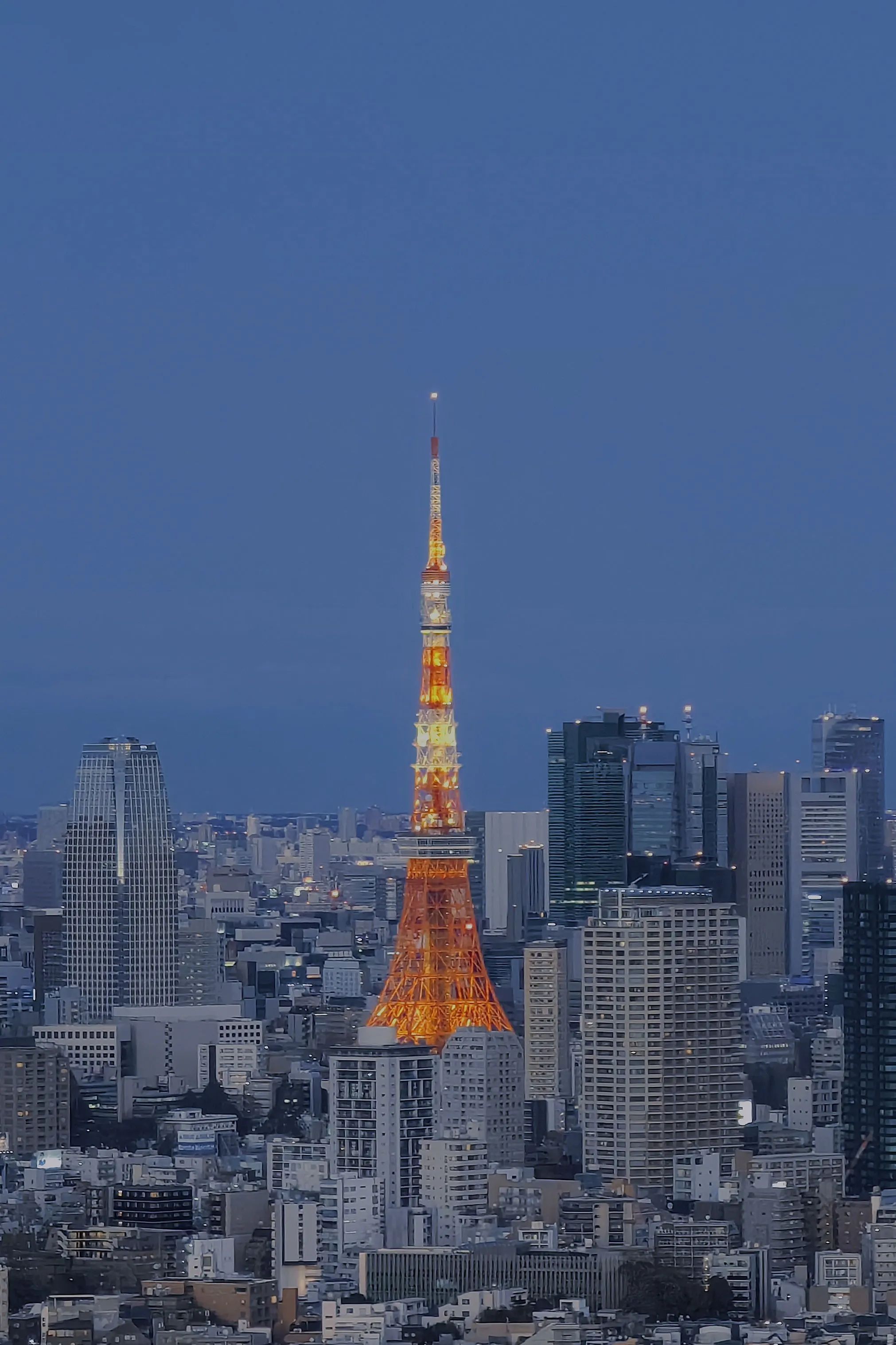 威廉希尔williamhill中文