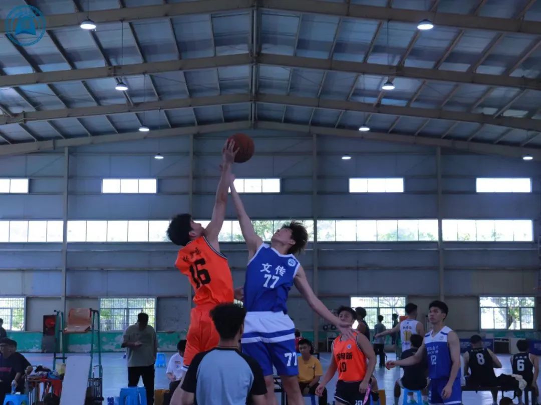 威廉希尔williamhill中文