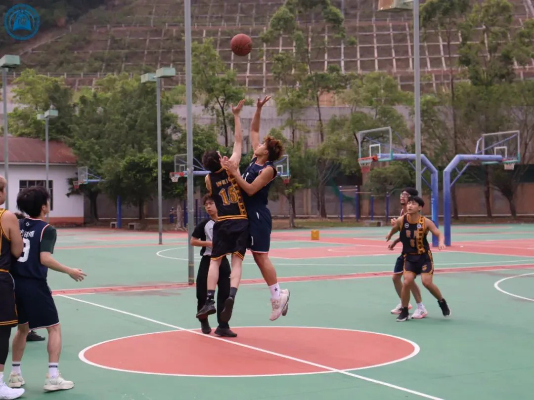 威廉希尔williamhill中文