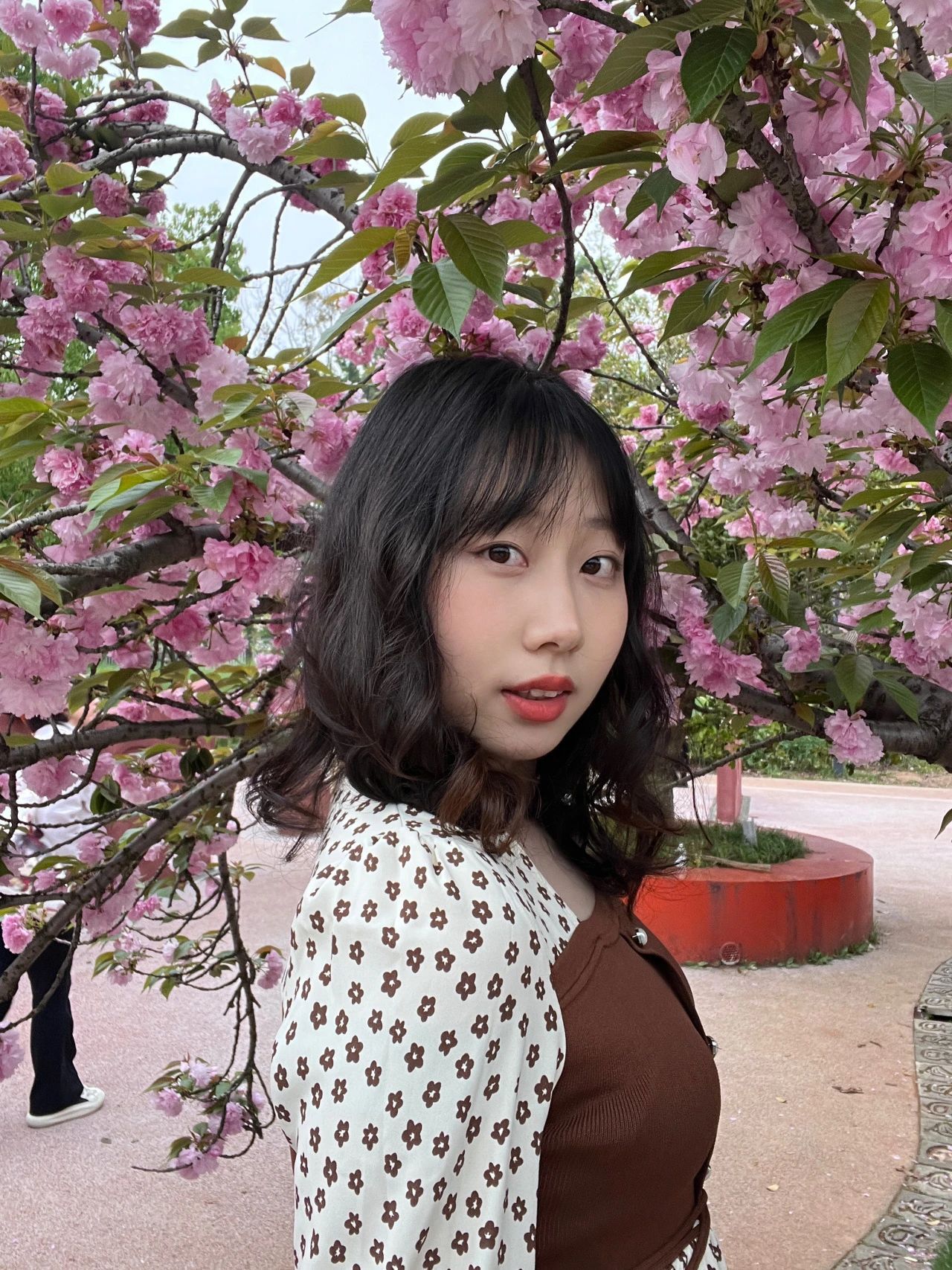 威廉希尔williamhill中文