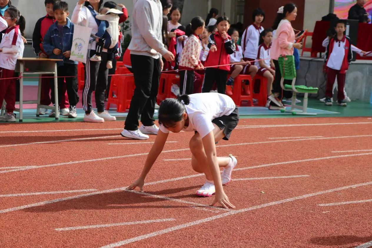 威廉希尔williamhill中文