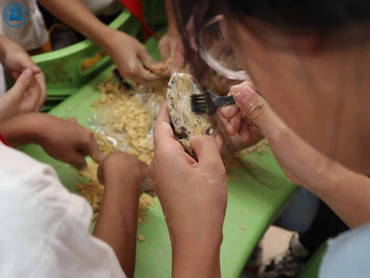 威廉希尔williamhill中文