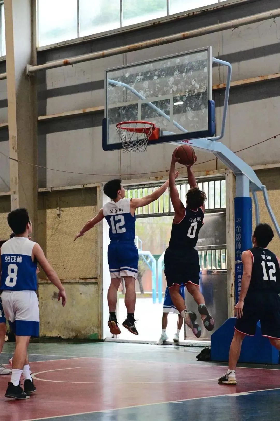 威廉希尔williamhill中文