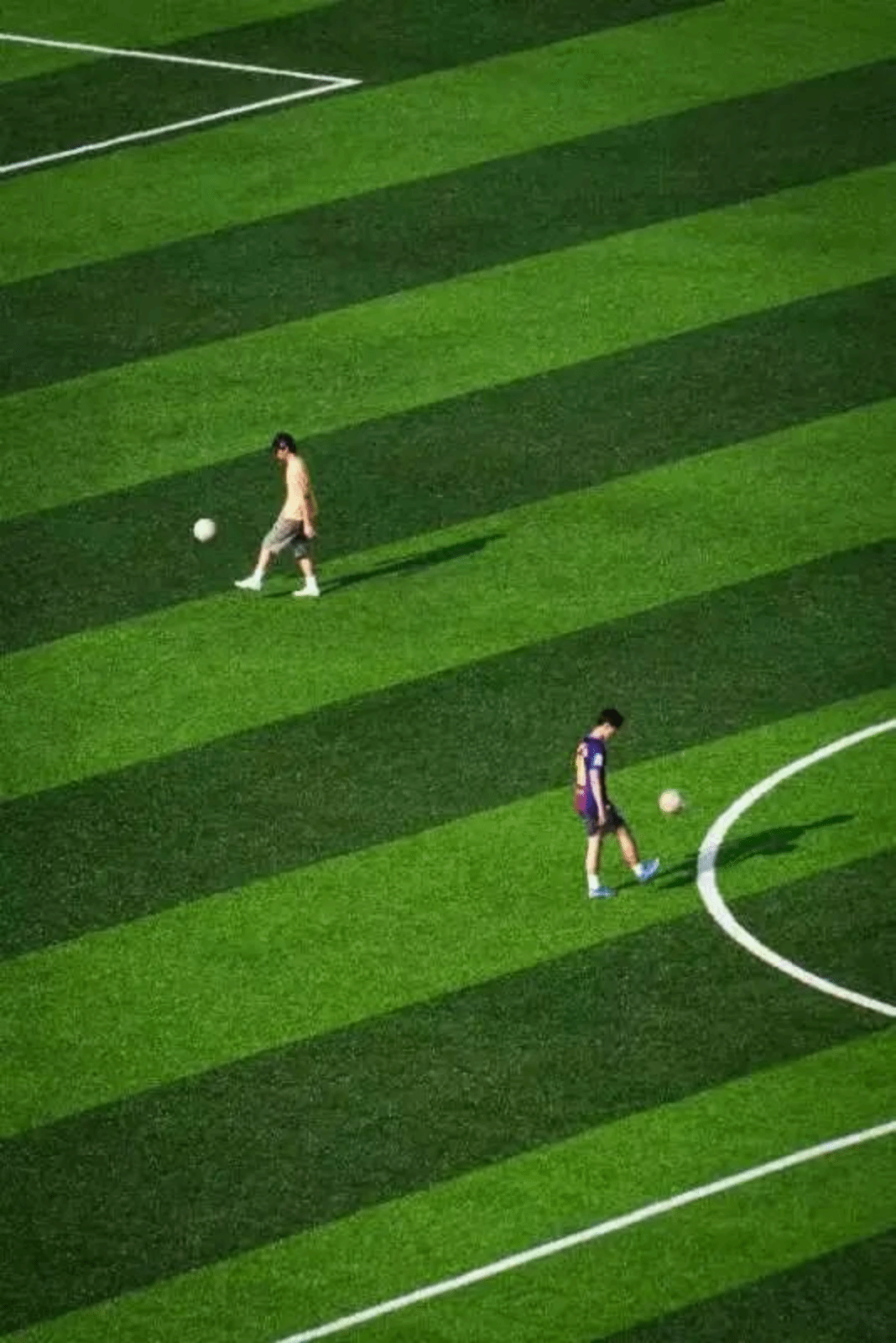 威廉希尔williamhill中文