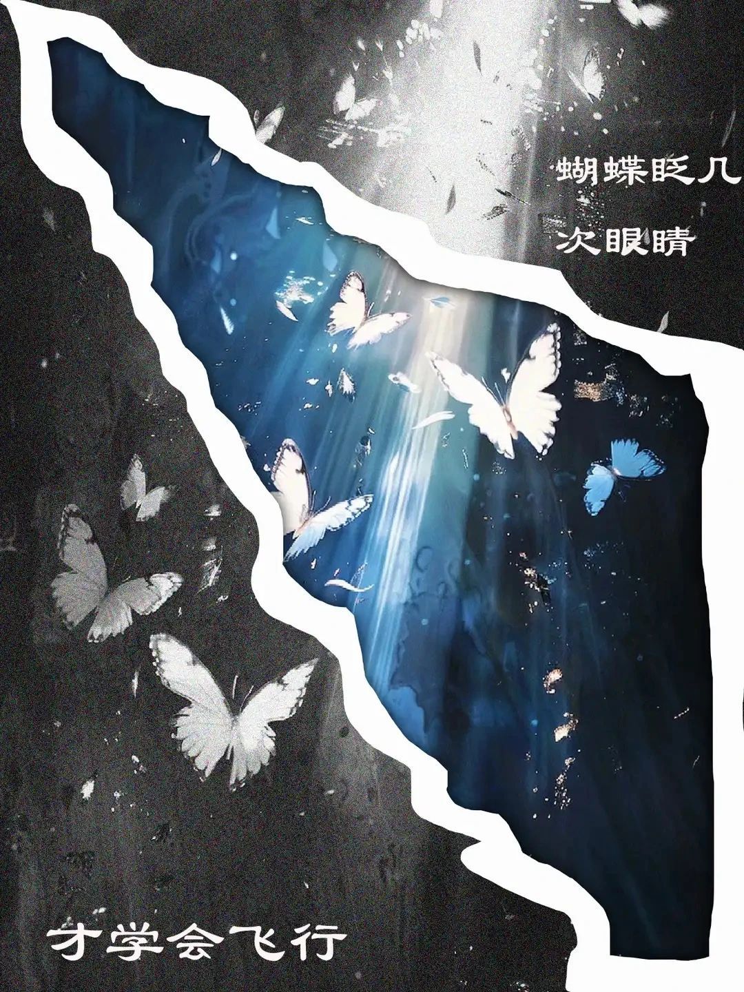 威廉希尔williamhill中文