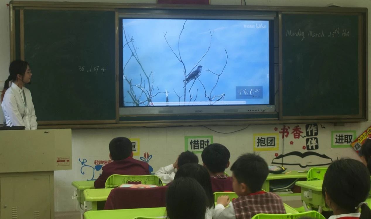 威廉希尔williamhill中文