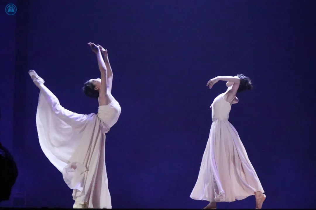 威廉希尔williamhill中文